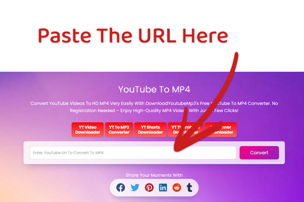 youtube to mp4 trim